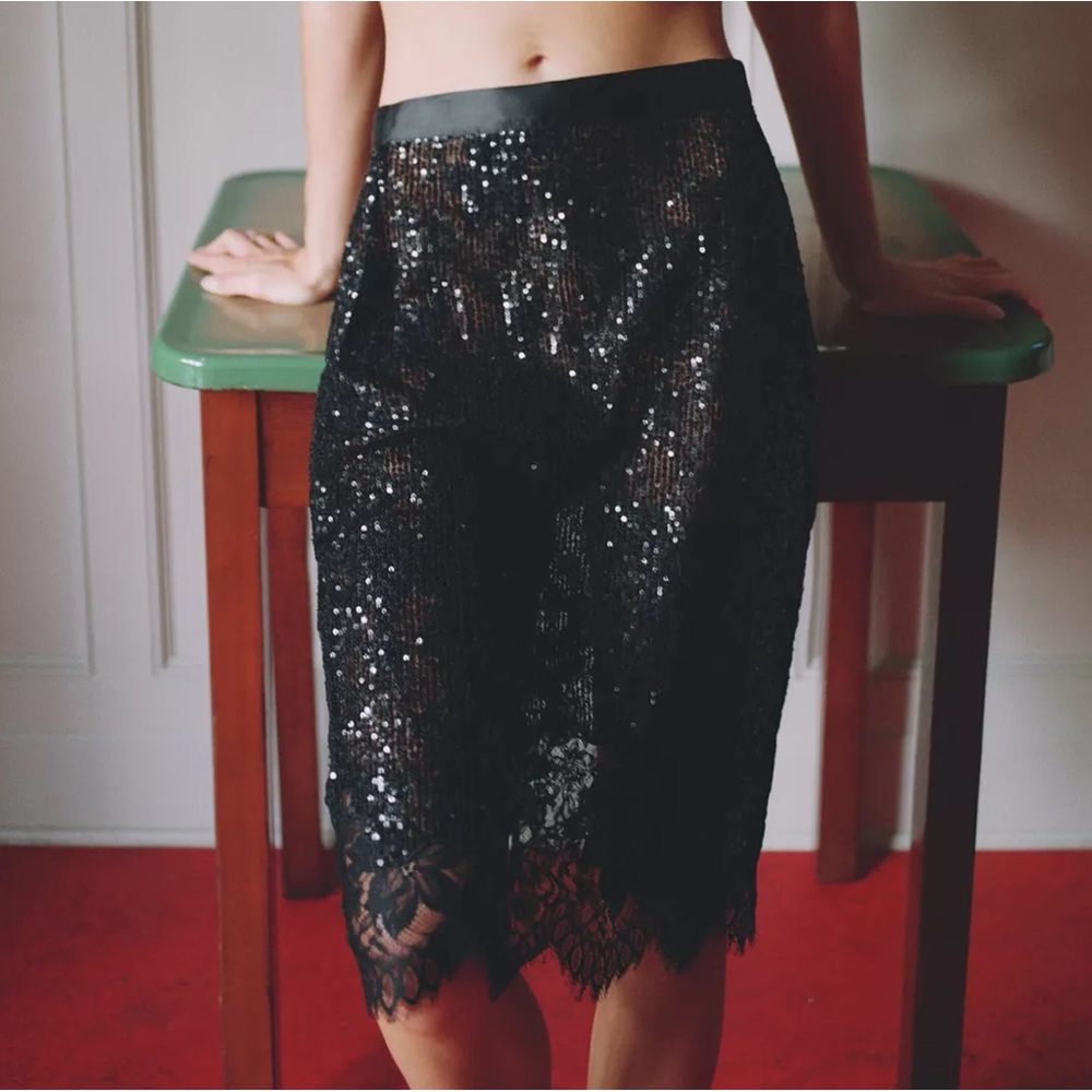 ZARA SEQUIN LACE COMBINATION SKIRT - Picture 2 of 7